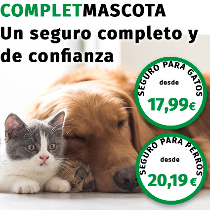 Mascotsegur, el seguro perfecto para perros y gatos